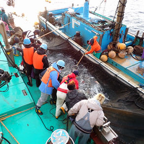 R7オープンキャンパス とくしま漁業アカデミー