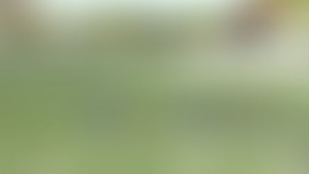 Vídeo resumen y galería de fotos del partido entre el Juvenil B del CF Benidorm y el Ondarense