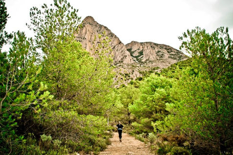 Finestrat se prepara para el “Kilómetro Vertical Puig Campana” que se celebra el próximo 15 de abril