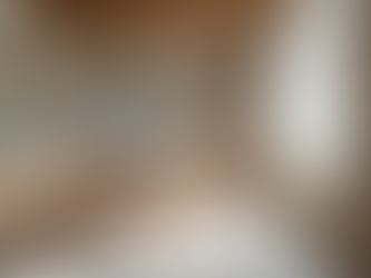 The Role of Home Renovation Experts