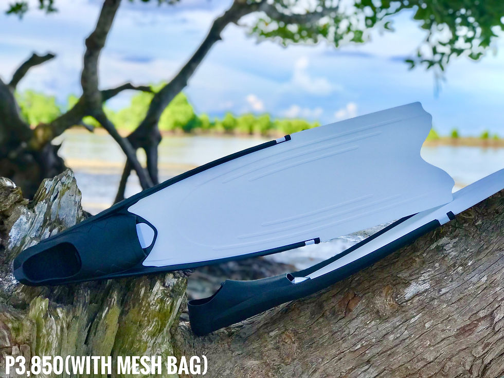 Thumbnail: Plastic Long Fins