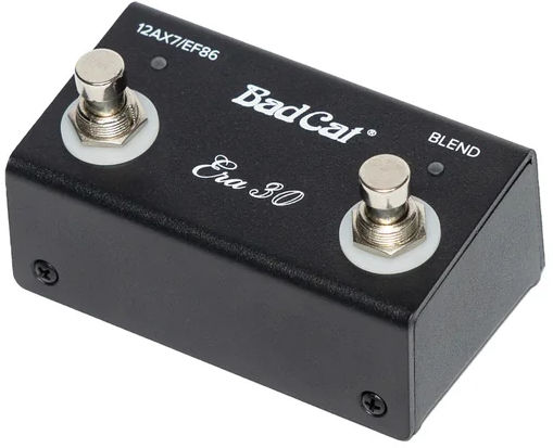Thumbnail: Bad Cat Era 30: 30-Watt, Hand Wired