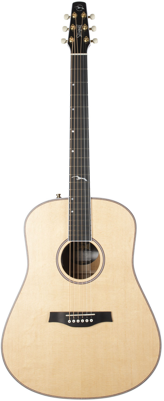 Seagull ARTIST MOSAIC ANTHEM EQ