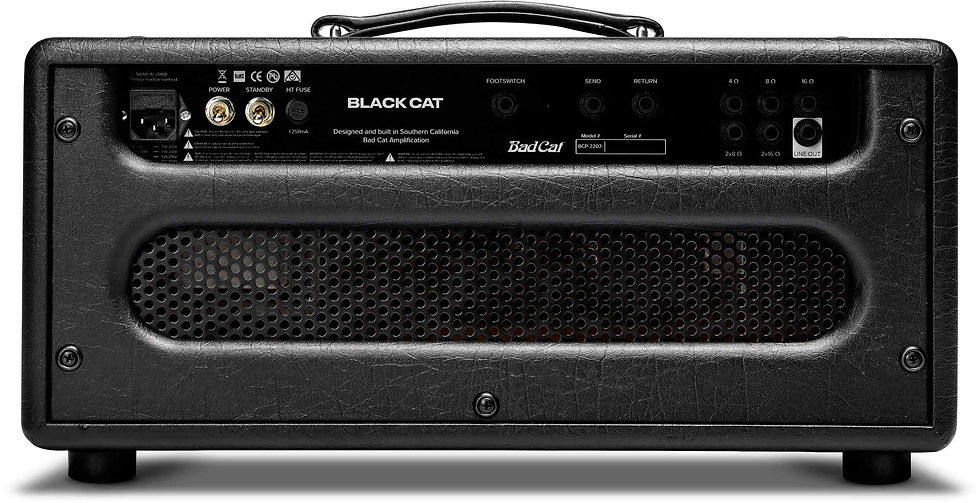 Thumbnail: Bad Cat Black Cat Head 20w, All Tube, Hand Wound Transformers
