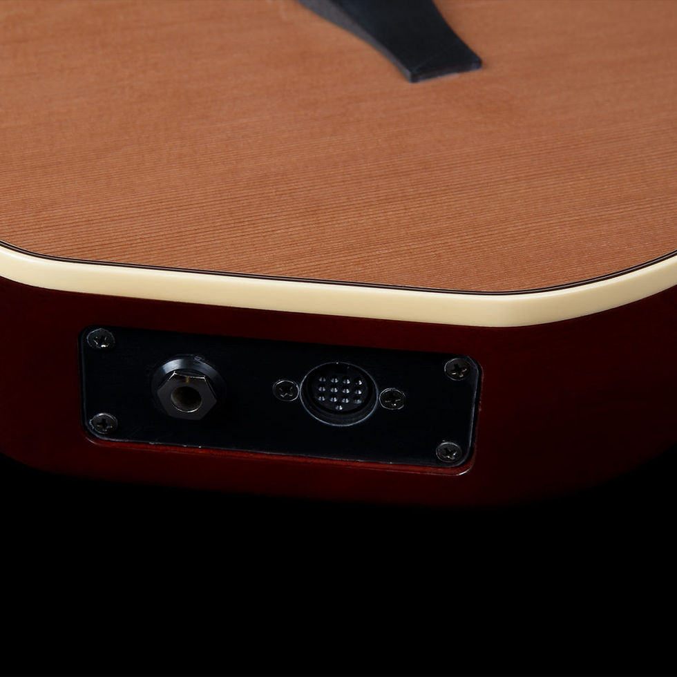 Thumbnail: Godin Multiac Grand Concert Synth Access Natural HG