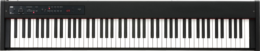 Korg Korg D1 Slimline 88-Note Weighted Stage Piano | MassMusik