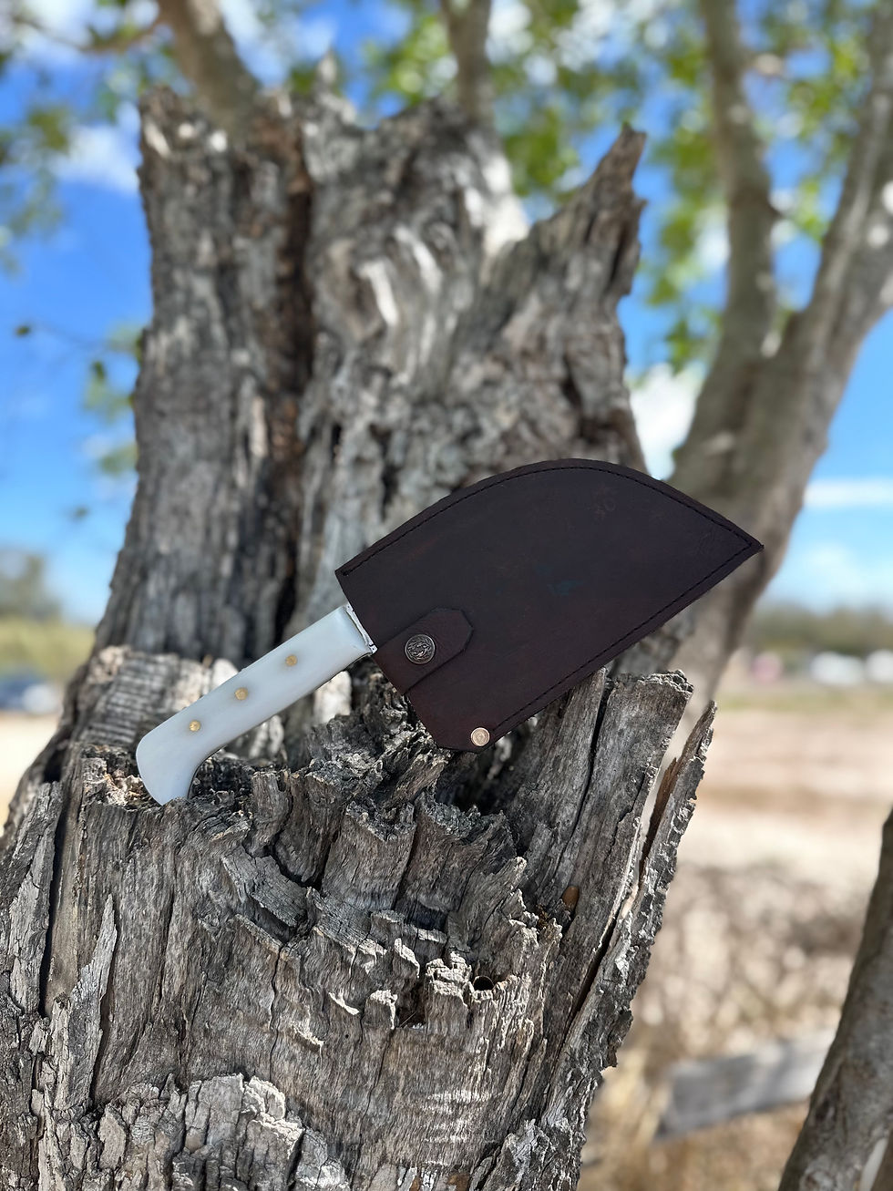 Thumbnail: Reverse Cleaver 6’ (Sanalite)