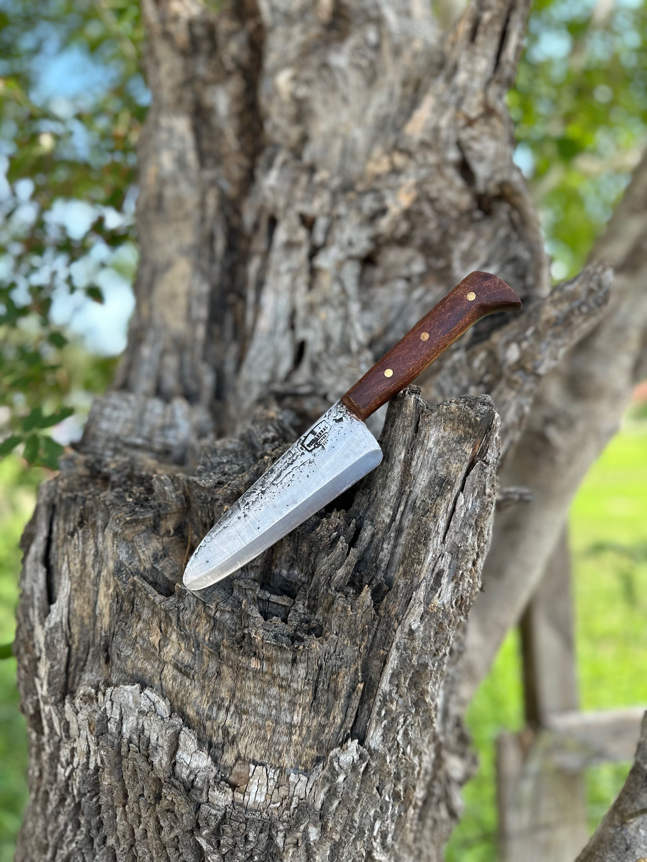 Chef Knife 6’ (mesquite)