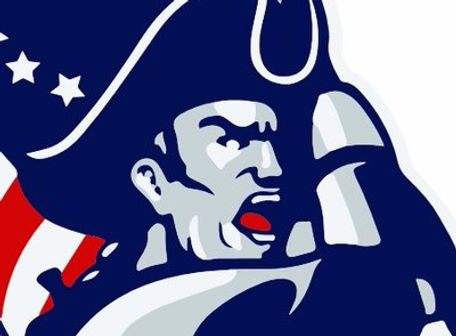nathan hale logo.jpg