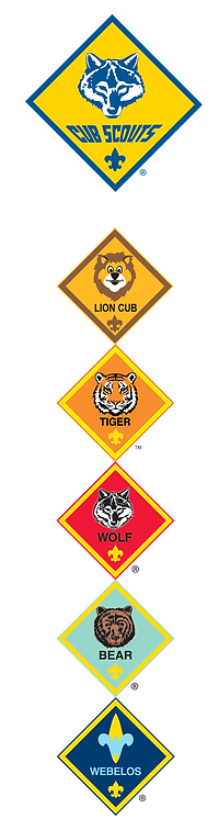 Lion patch