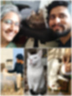 INCOME DONATED TOWARDS STRAY AND ANIMAL SHELTERS AND RESCUE SUPPORT IN MAHARASHTRA