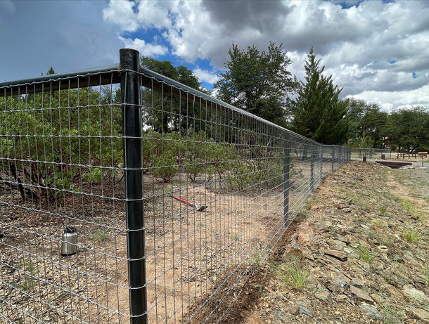fence, fencing