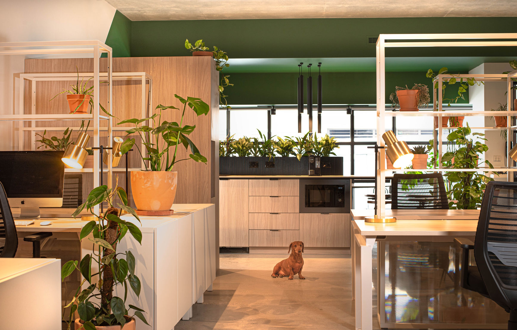 Office For Rent Brunswick