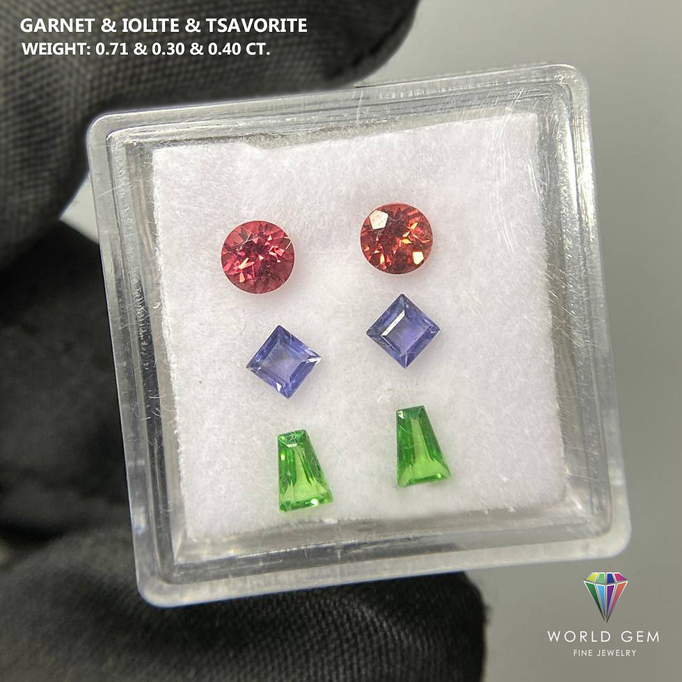 Miniaturbild: Garnet 0.71 Cts. & Iolite 0.30 Cts. & Tsavorite 0.40 Cts.
