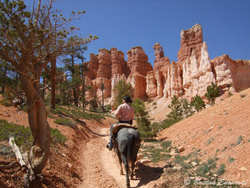 Bryce Canyon Tour Utah