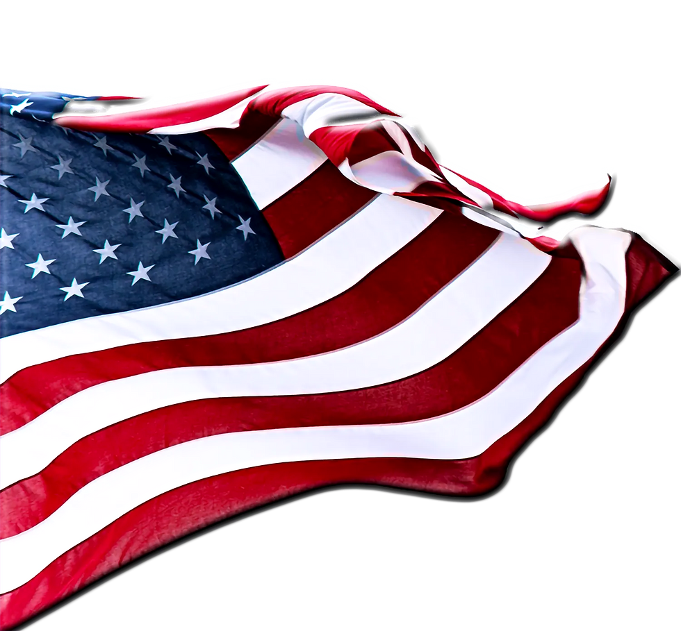 flag_edited.png