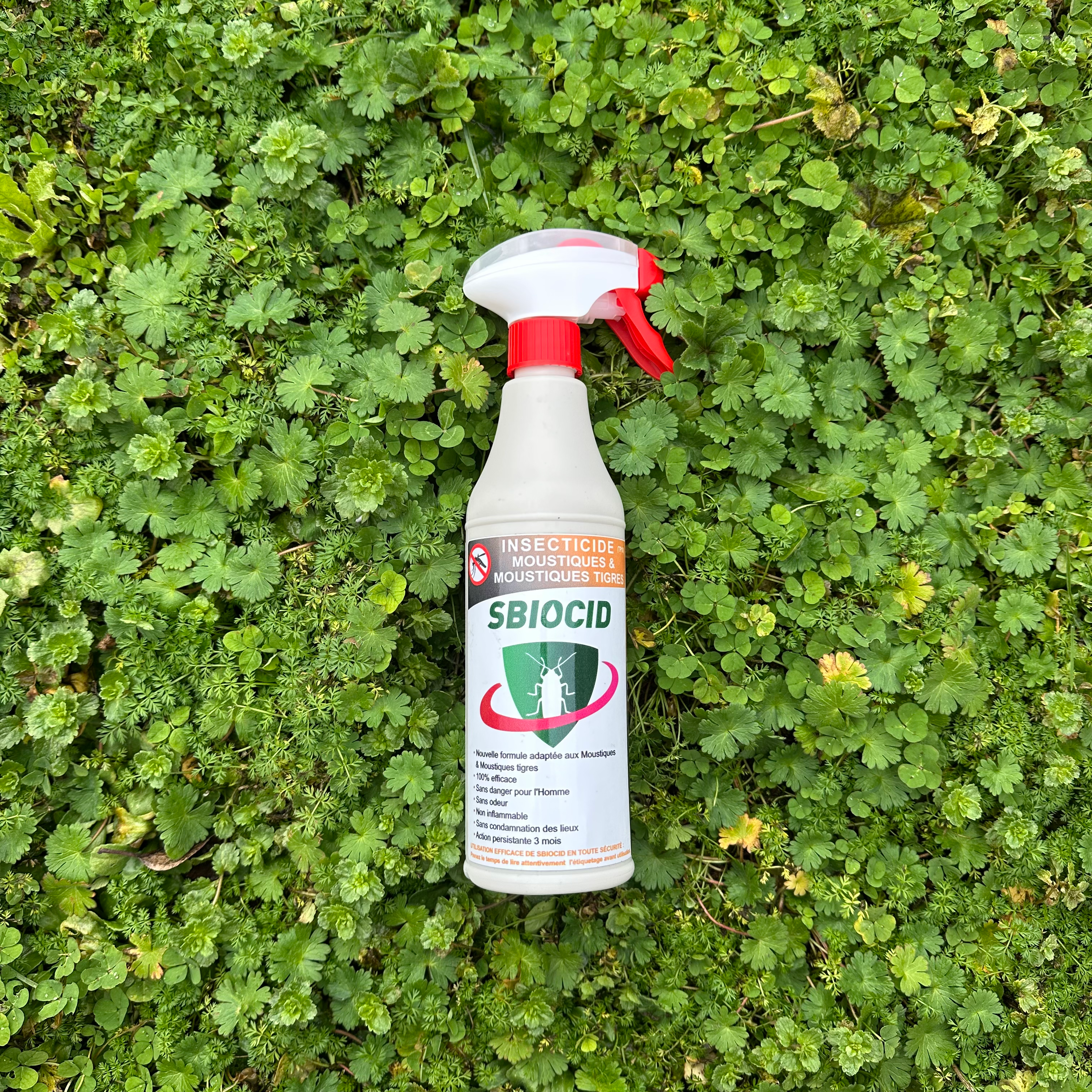 INSECTICIDE MOUSTIQUES & MOUSTIQUES TIGRES