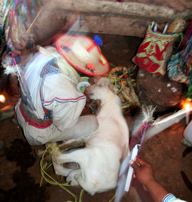 1_3 CM SACRIFICIO copia.jpg