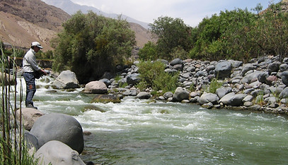 Pepe Cilina 3 - copia.JPG