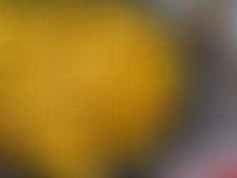 COPA DO MUNDO 2022 com Pitada Natural | Aperitivos verde e amarelo