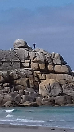 20190411_120552 (1).jpg