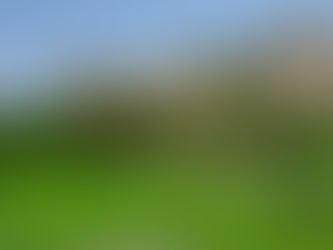 Haryana's Cultural and Historical Treasures: An Enthralling Journey