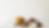 autumn 2024 website.png