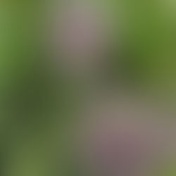 「名前」から見えてくること