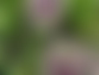 「名前」から見えてくること