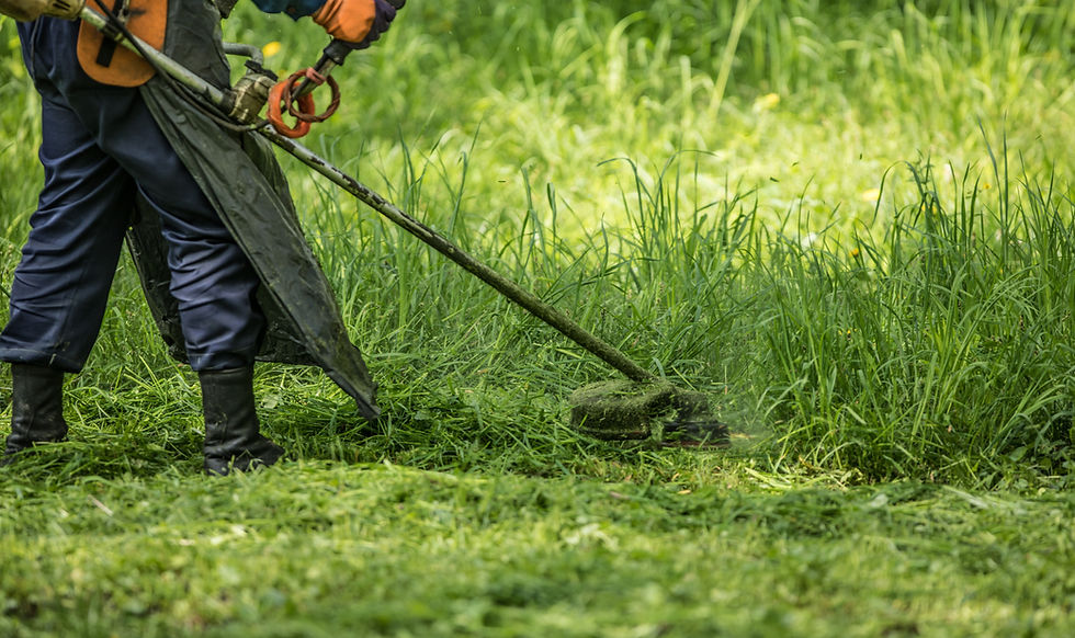 The Big Mow! Wk comm 8th June