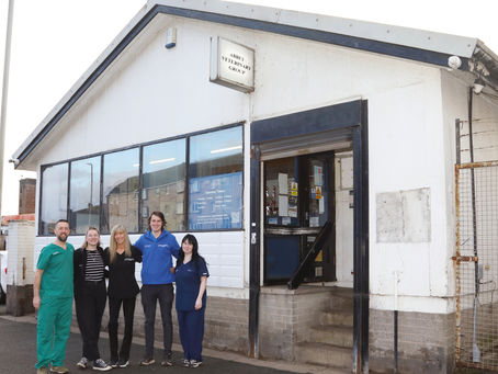 Staff outside Abbey Vets, Paisley, Renfrewshire