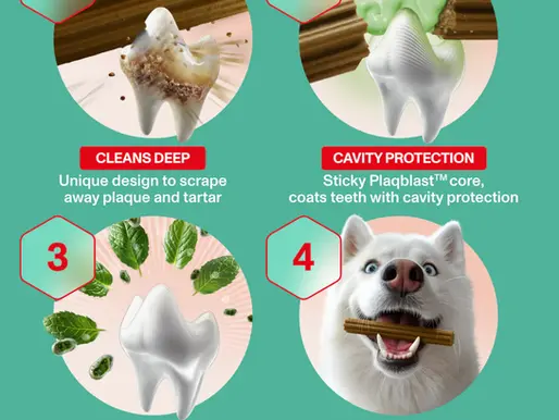 OMNI's Dual-Texture Dental Sticks explainer graphic.