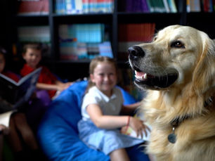 Barney the dog with children in a school library