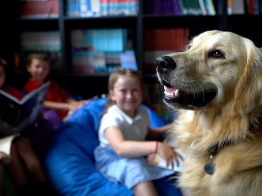 Barney the dog with children in a school library