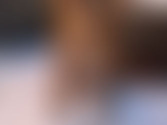 Charlie, a dog from Leicestershire, who had wire removed from his stomach at Dovecote Veterinary Referrals in Castle Donington, Leicestershire.