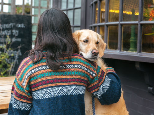 Generic image of dog being comforted by its owner
