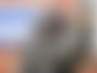 Record-breaking vet Danny De Vries in his rhino suit