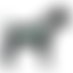 Model of dog wearing BreedFit by Surgery Suit.