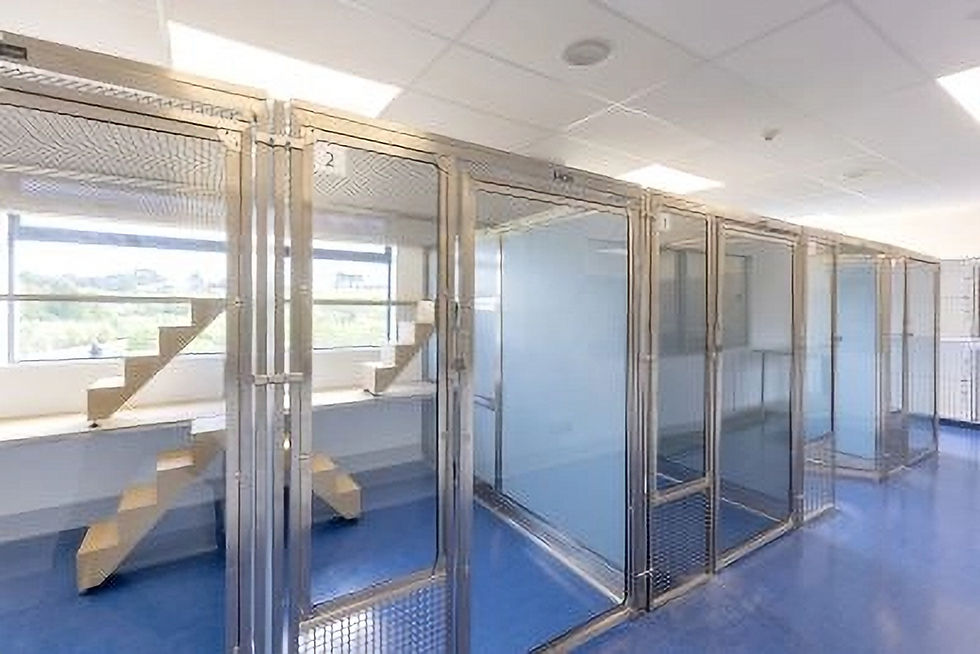 Image of an animal housing designed for shelters by CASCO Pet