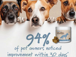 Dogs pictured with Nutraquin joint support chews