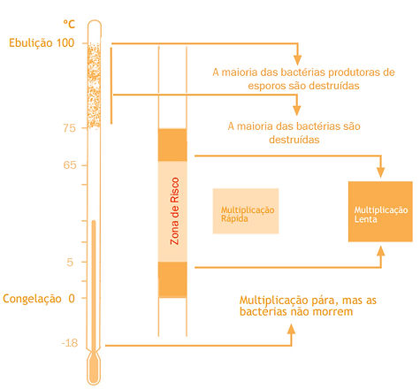 Temperatura e os microrganismos