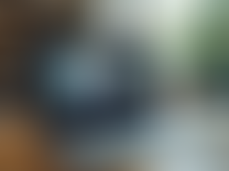 Exploring the Benefits of Virtual Leadership Training for Lasting Impact