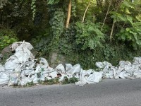 illeciti ambientali