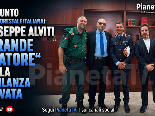 vigilanza