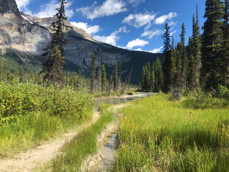 Sustainability transitions and the mud they stand in