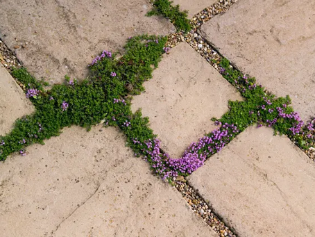 Social and ecological resilience: where do they meet?