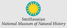Smithsonian.png