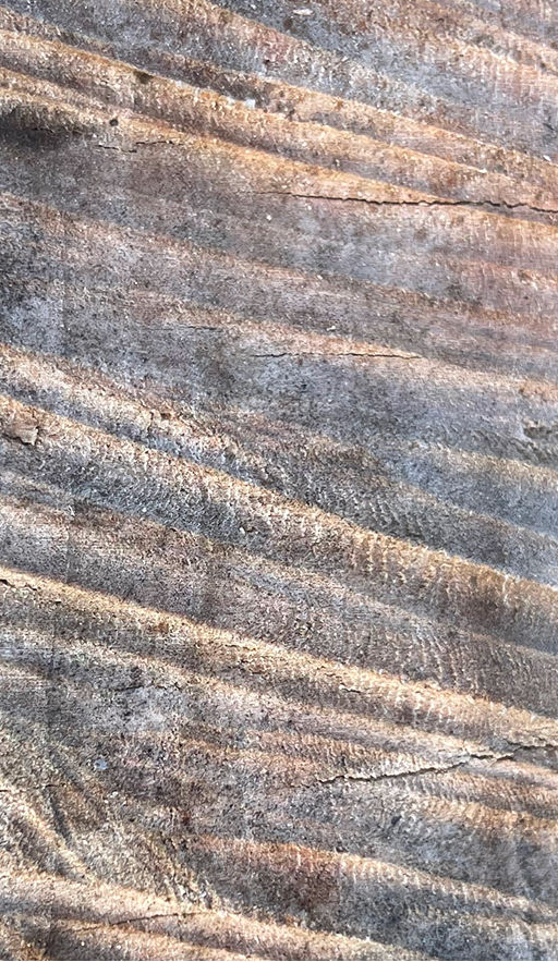 SoundManorTexture2.jpg