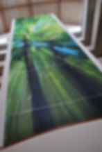 Printed Fabric & Frame Systems
