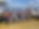 thumbnail_IMG_4133.jpg